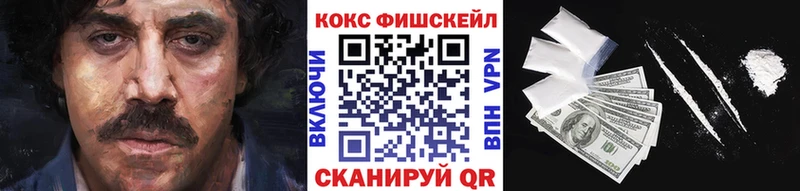 Купить где  Мосальск  Cocaine FishScale 
